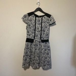 Kensie women dress